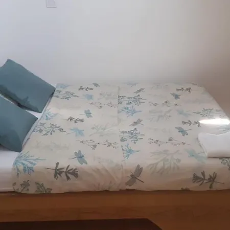 Apartment Le Bonheur Pibrac